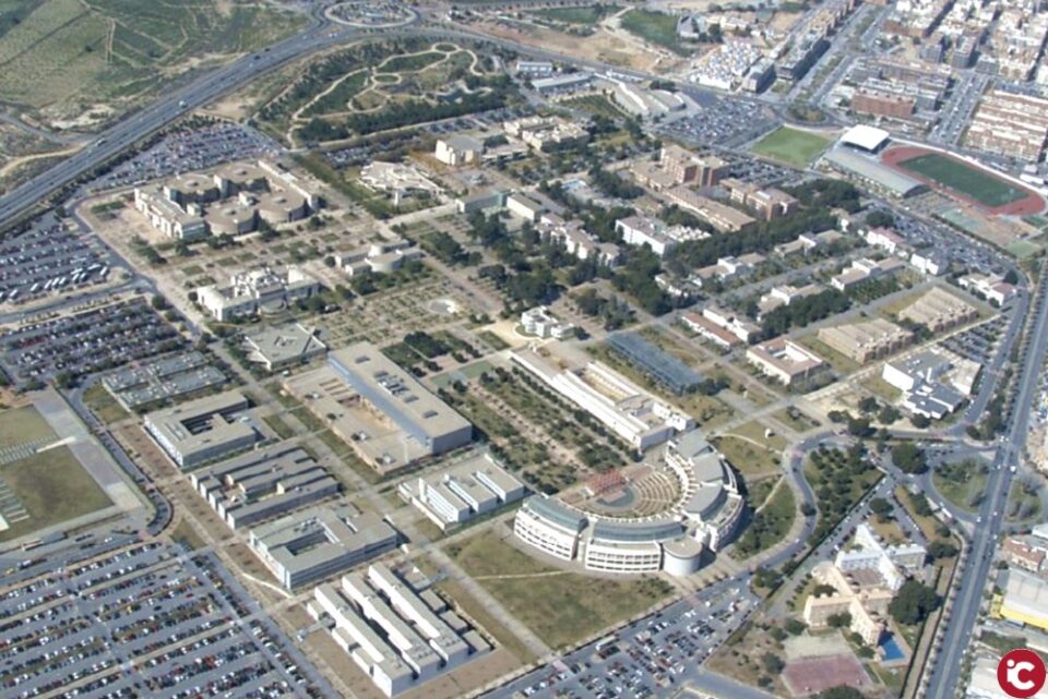 Com la microbiota pot influir en els símptomes de l'autisme