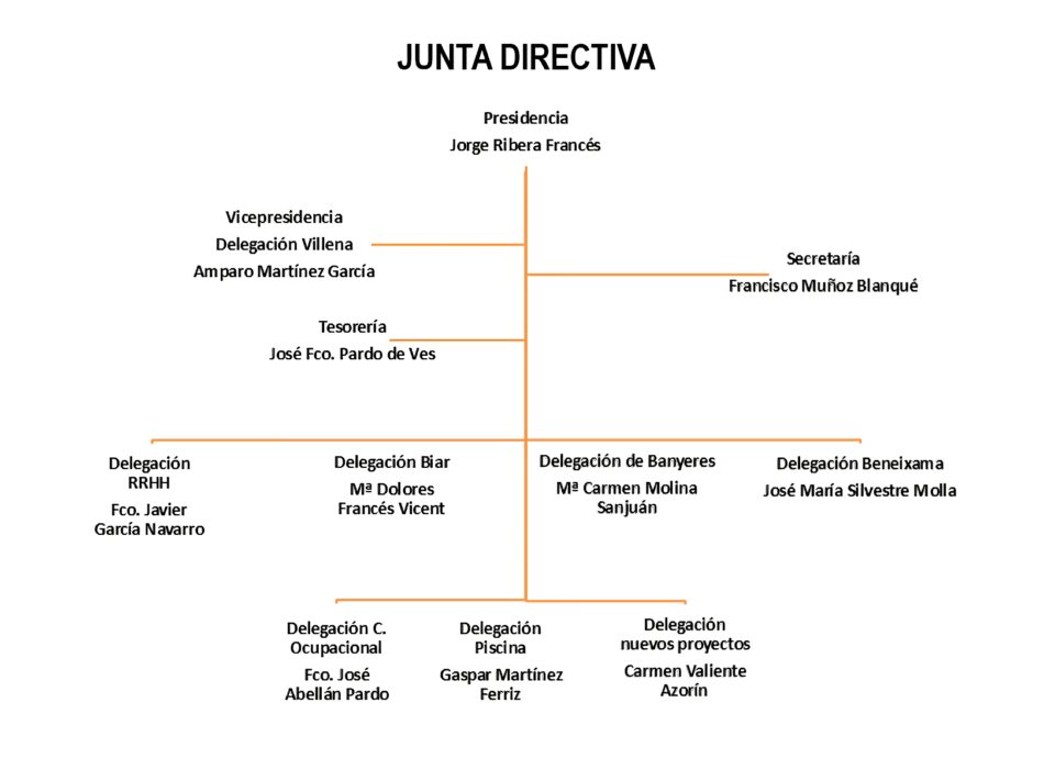 Constituida la nueva junta directiva de APADIS