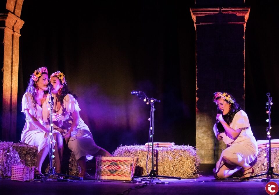 Las gallegas DE VACAS