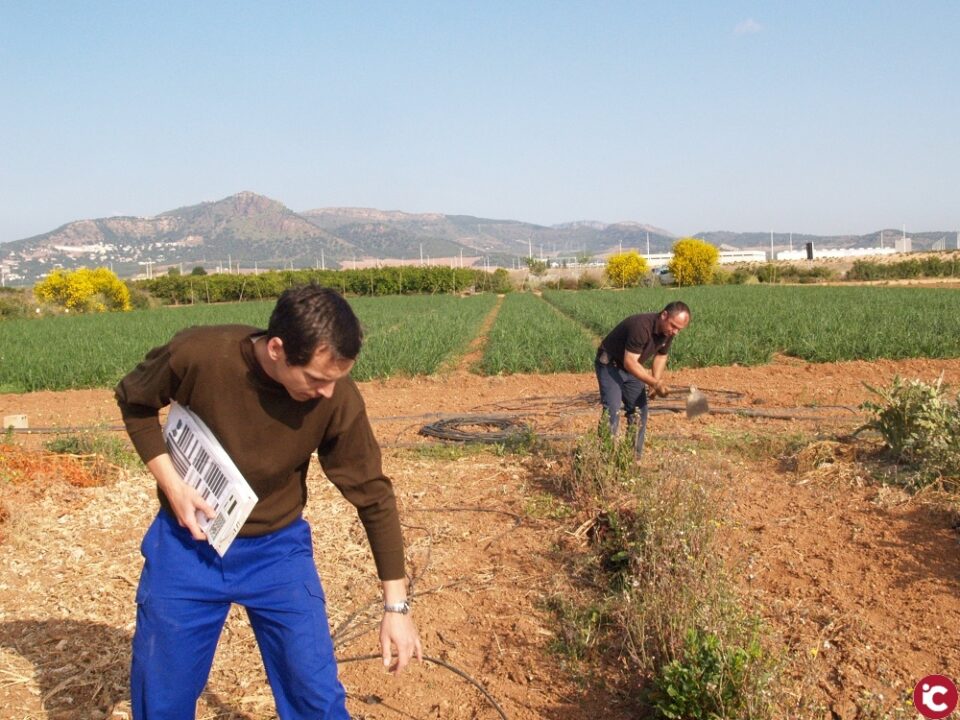 LA UNIÓ presenta més de 150 accions en clau agrària i rural a l'Estratègia Valenciana de Canvi Climàtic i Energia Horitzó 2030