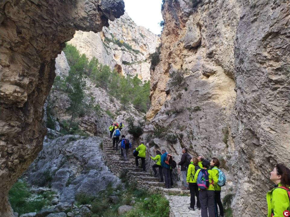 AVIANA en el Barrac del Cinc (LA BUITRERA) ALCOY