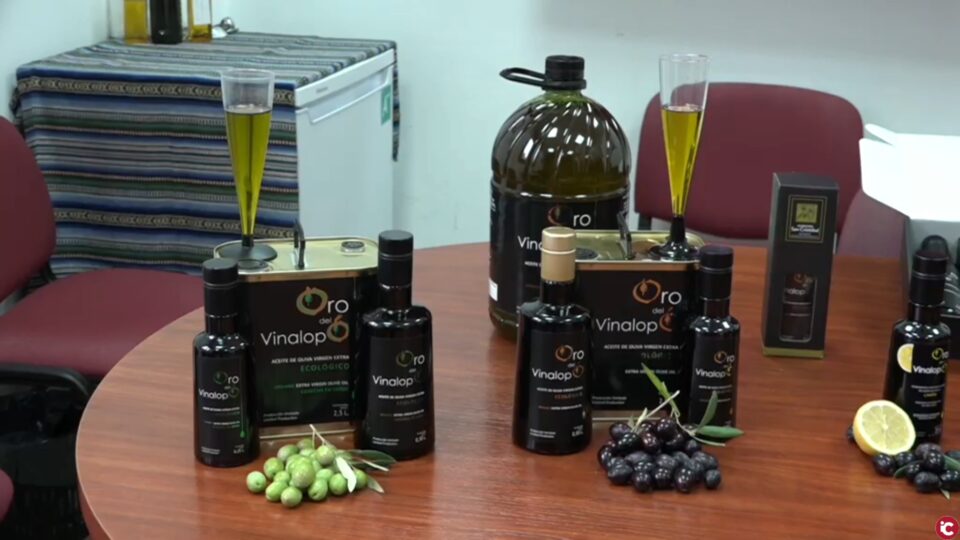 Visitamos la Almazara San Cristóbal de Cañada para conocer el Aceite de Oliva Virgen Extra Ecológico obtenido directamente de aceitunas y sólo mediante procedimientos mecánicos