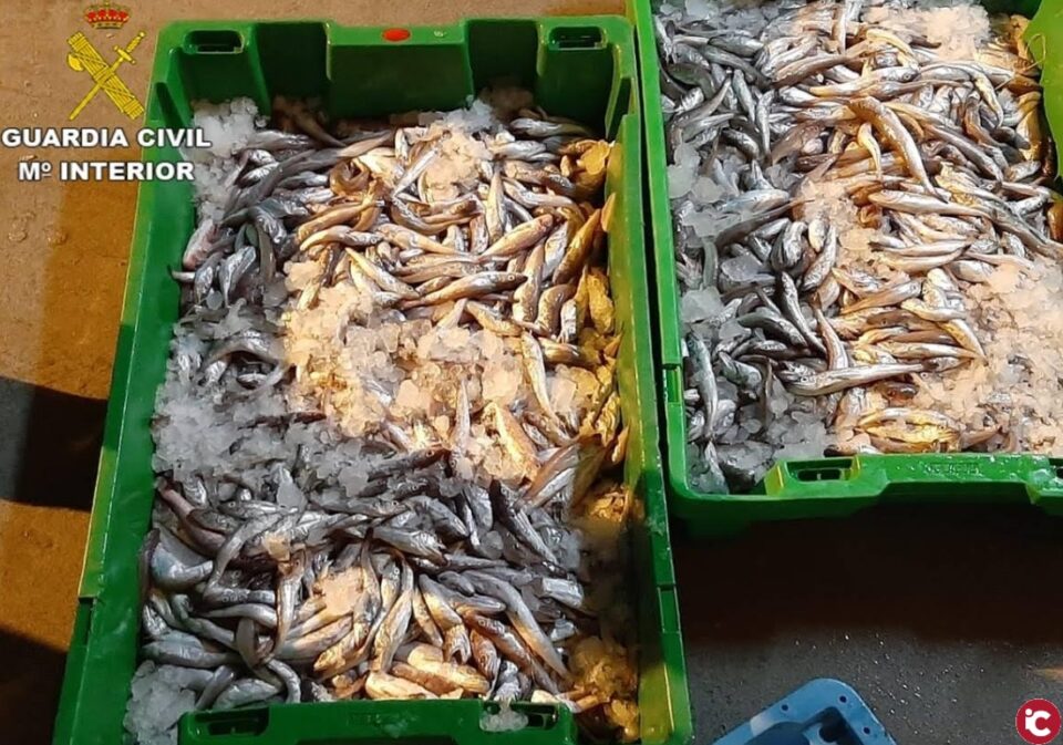 La Guardia Civil interviene más de 19.000 kilos de productos alimentarios con irregularidades