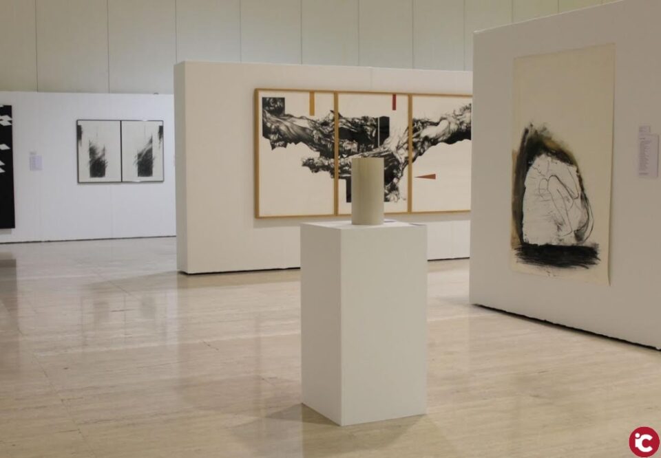 El MUA inaugura demà l'exposició 40 sobre 40