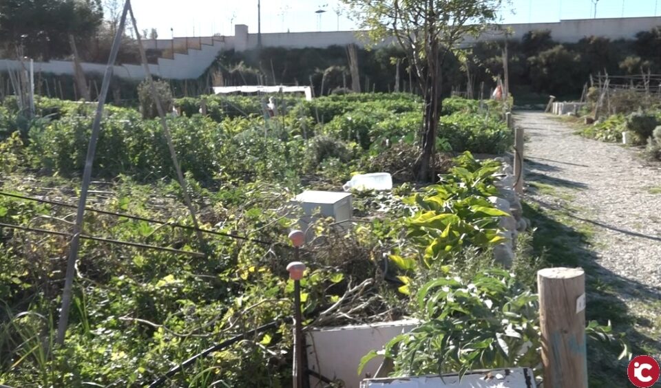Visitamos el Huerto Urbano Municipal