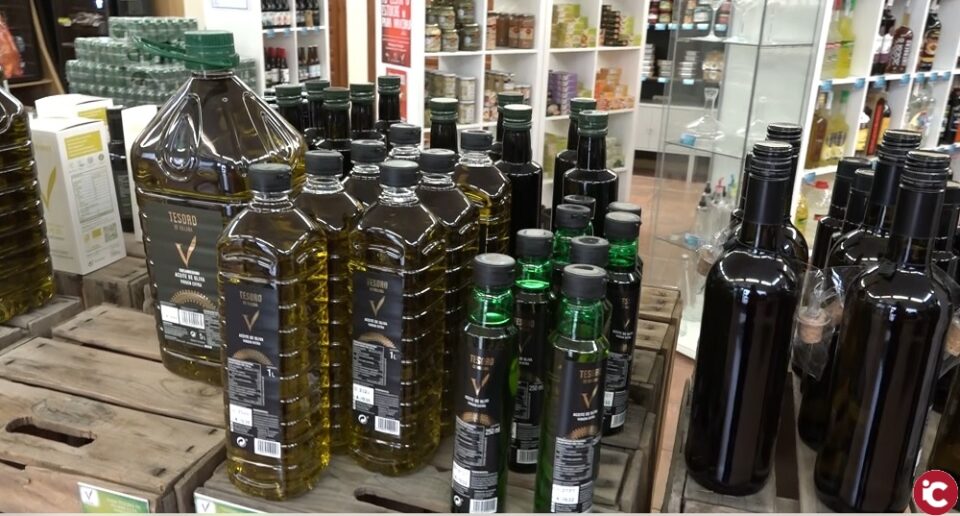 Conocemos como va la campaña de aceite en en la almazara de la Bodega Las Virtudes