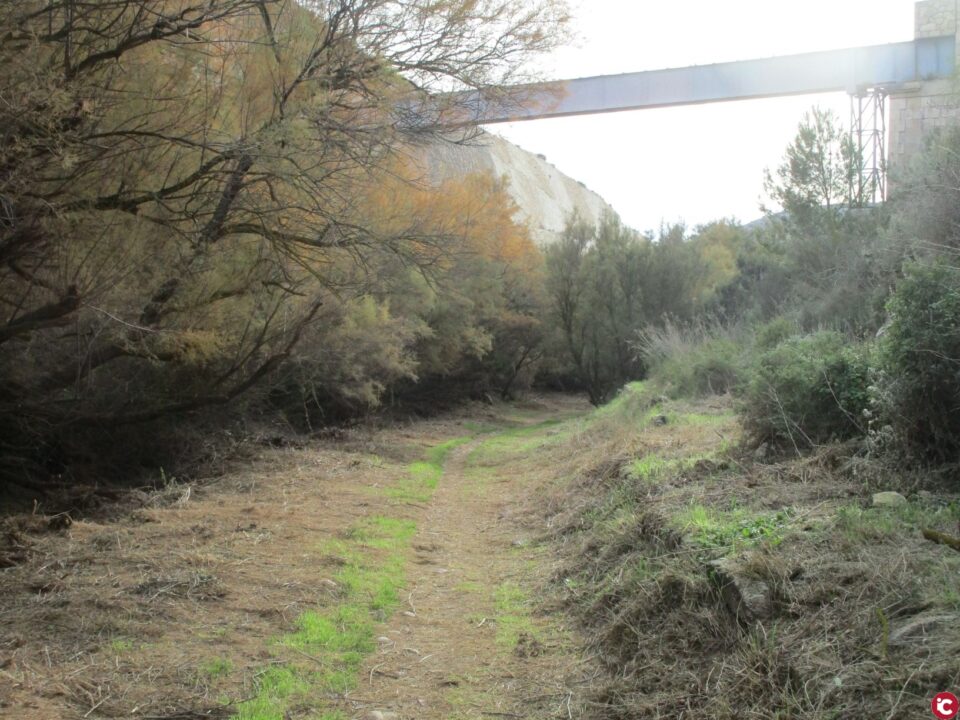 El Ayuntamiento de Elda desbroza y poda el entorno del Pantano para reducir el riesgo de incendios forestales