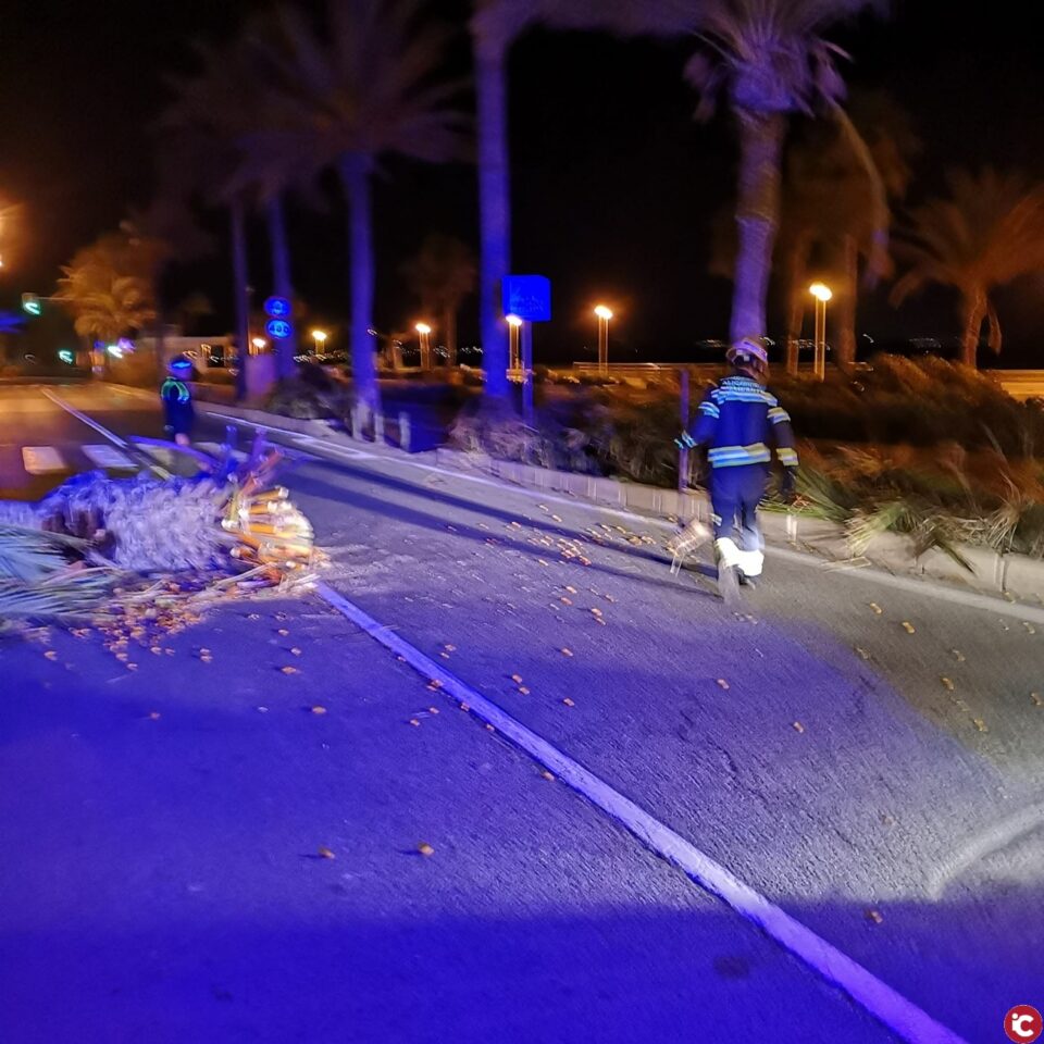 Policía Local de Alicante y Bomberos intervienen en más de cuarenta emergencias por el viento esta madrugada