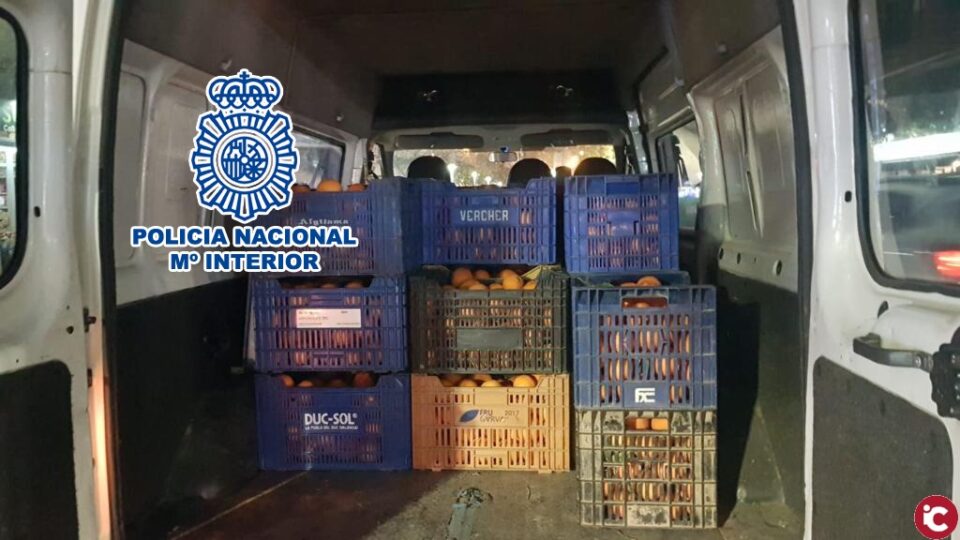 La Policía Nacional detiene a tres persona e interviene 1.600 kilos de naranjas robadas