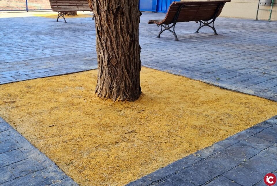 El Ayuntamiento de Elda remodela la entrada al Polideportivo Municipal por la calle Venezuela para evitar accidentes y mejorar la accesibilidad