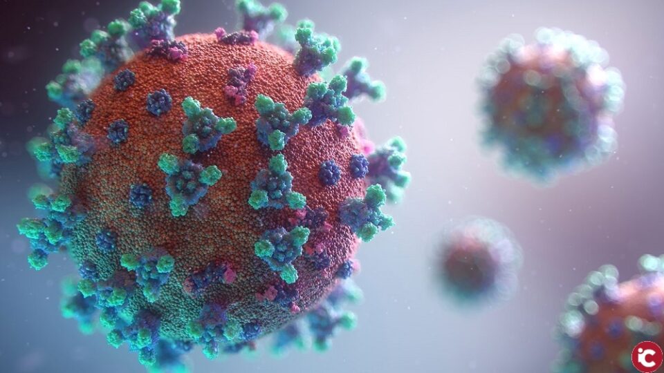 Sanidad registra 1.555 nuevos casos de coronavirus