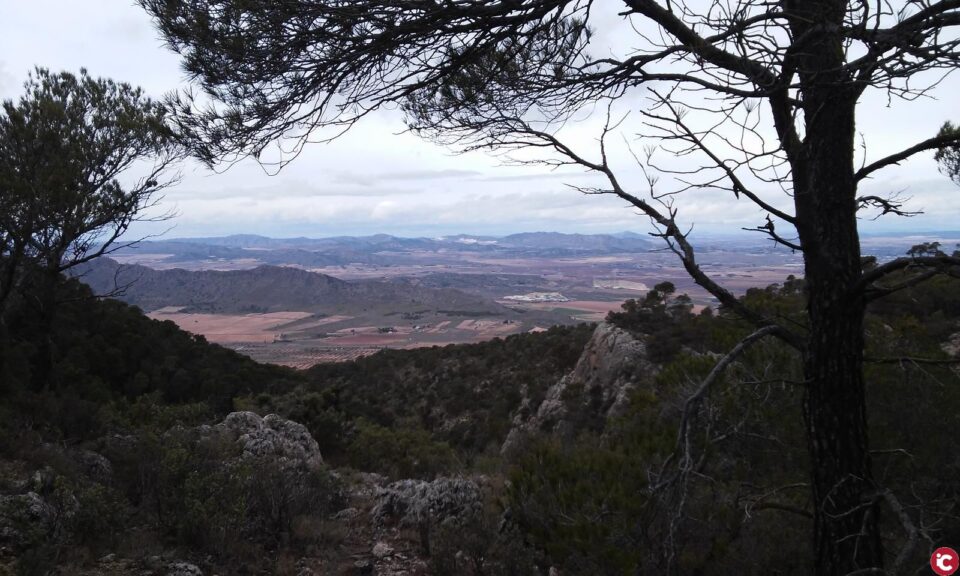 Villena Viva acerca los parajes naturales de Villena de una forma divertida
