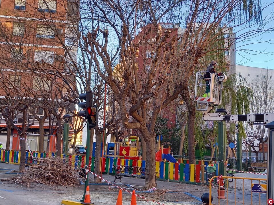 Se amplían los trabajos del servicio de zonas verdes