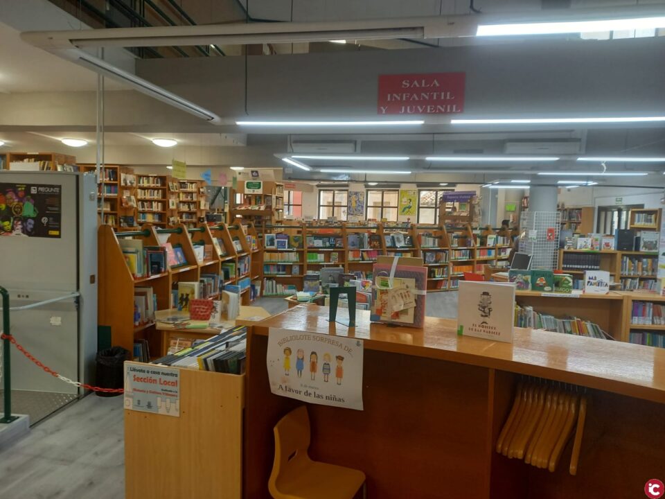 El tráfico de usuarios de la web de bibliotecas municipales creció un 8