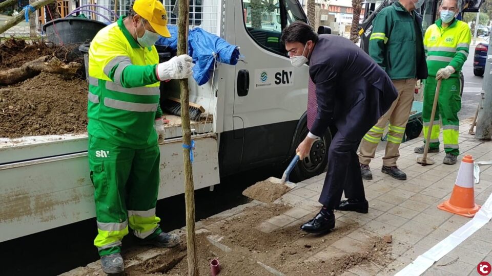 El alcalde participa en el inicio de la campaña para reponer más de un centenar de árboles en las zonas verdes de la ciudad