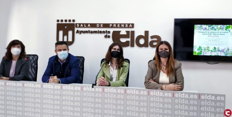 El Ayuntamiento y la Sede Universitaria de Elda organizan la actividad Comparte las plantas de tu ciudad para dar a conocer la flora eldense a través de la fotografía