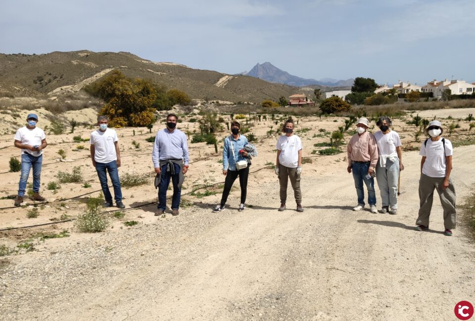 Medio Ambiente culmina la conmemoración del Día del Árbol con la plantación y acondicionamiento de ejemplares en el área natural 'El Poblet'
