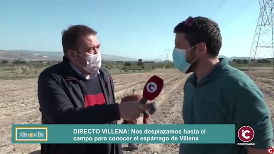 La cosecha de espárragos de este año