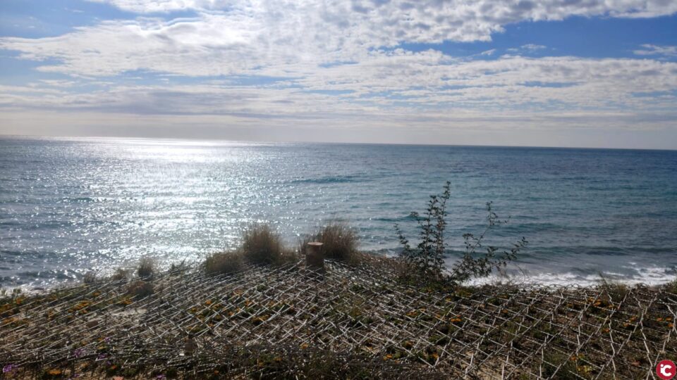 La concejalía de Playas