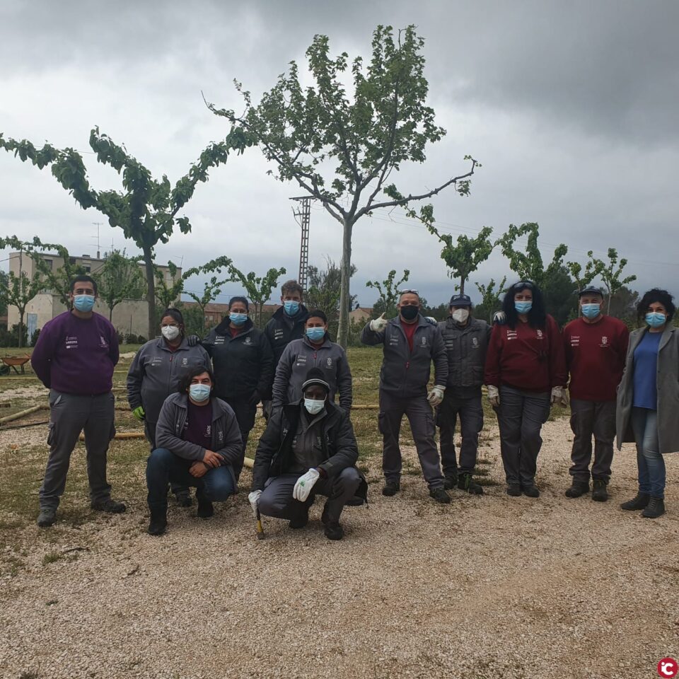 Villena logra 241.000 euros para ampliar por un año más el programa de empleo de jardinería