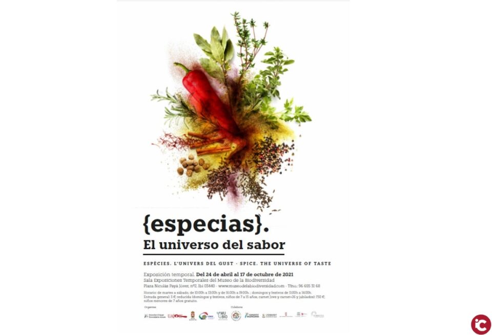 El universo del sabor