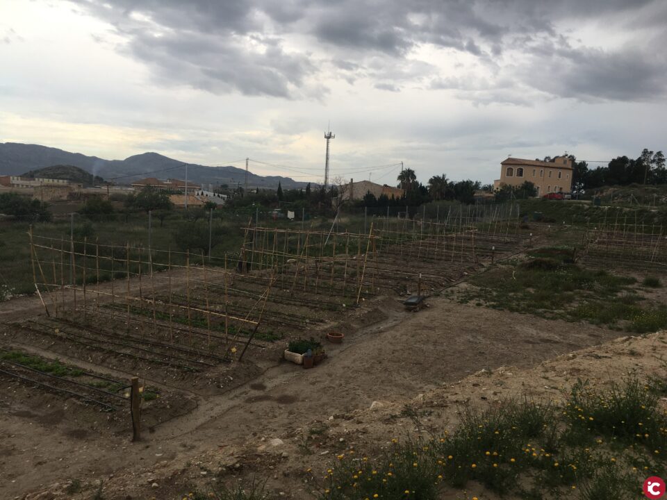 Agost pone en marcha 15 huertos urbanos de autoconsumo para jubilados y desempleados