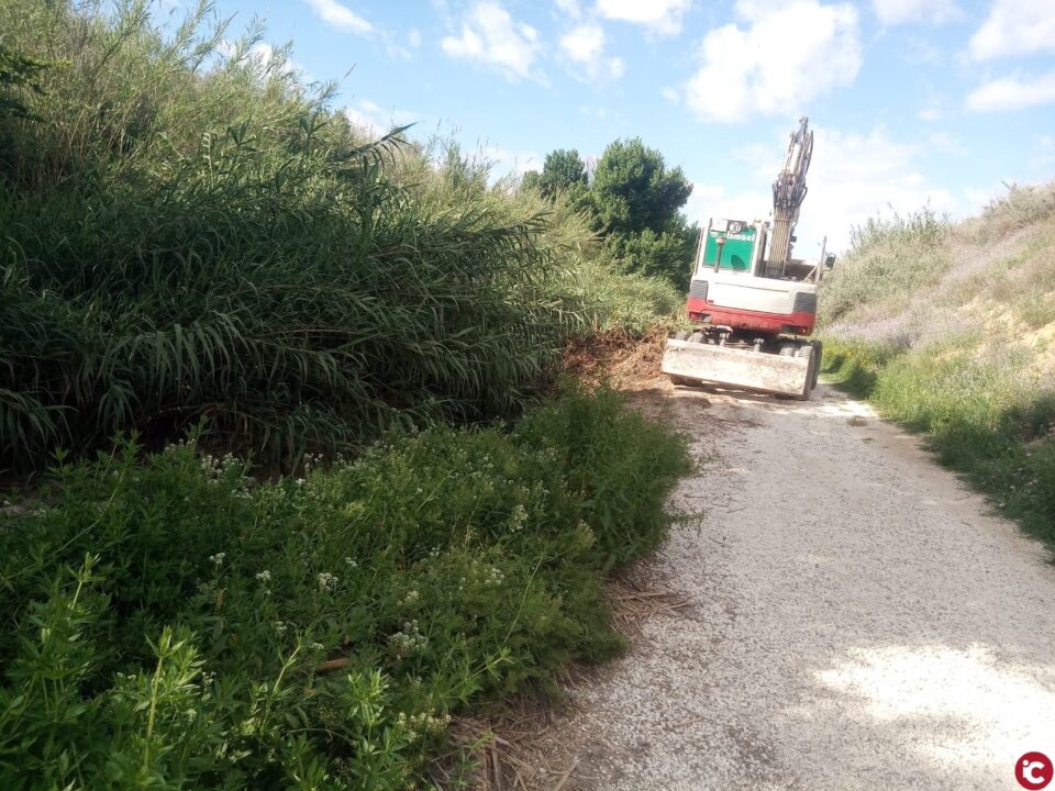 El Ayuntamiento de Aspe destina 58.100 euros para realizar los trabajos de limpieza