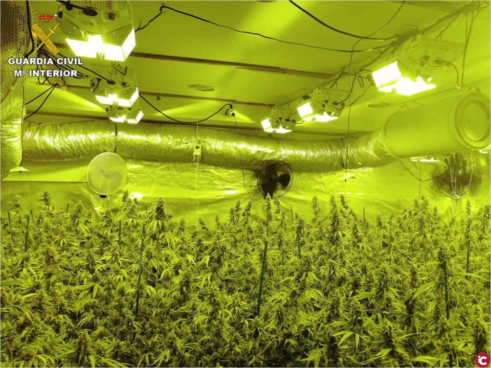 La Guardia Civil desarticula una banda de origen lituano por tráfico de drogas en Alicante