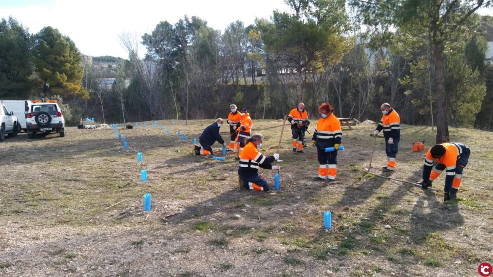 El Ayuntamiento de Alcoy convoca los planes de empleo para jóvenes cualificados y personal forestal y de jardinería