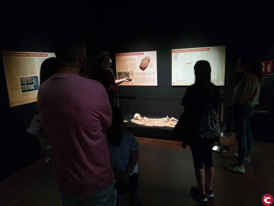 El Museo Dámaso Navarro organiza varias actividades en torno a la exposición Cuidar