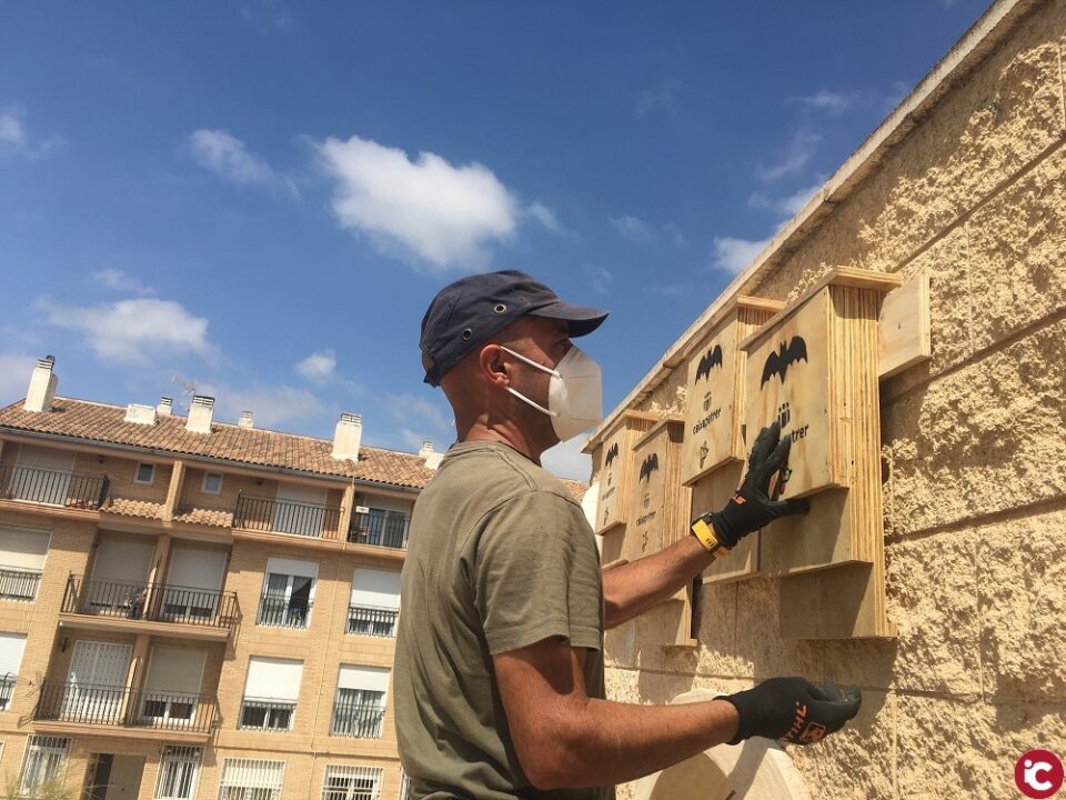 Petrer instala 33 cajas-refugio para murciélagos en parques y edificios públicos para combatir plagas