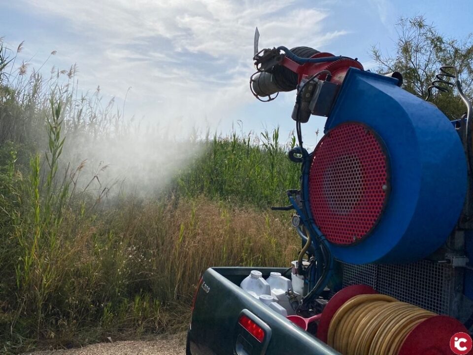 Comienza en Cala Baeza la campaña de fumigación contra los mosquitos común y tigre