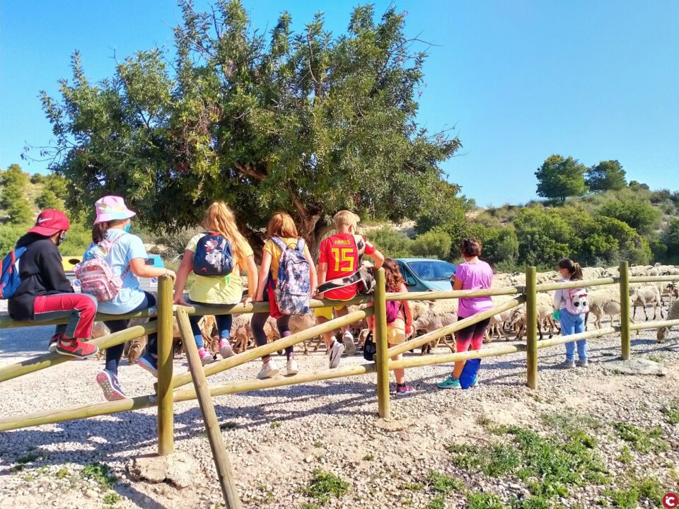 Con motivo del Día Internacional del Medioambiente