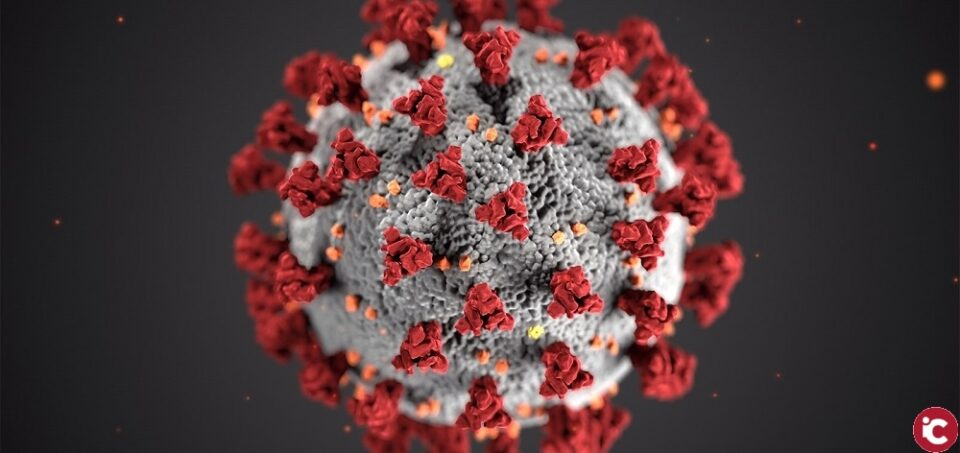 Sanitat registra 182 altas y 167 nuevos casos de coronavirus