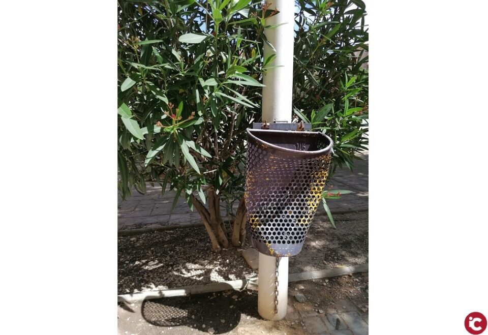 CIUDADANOS PETRER: Sales lamenta que nuestros parques sigan en el olvido por más que lo denunciemos públicamente