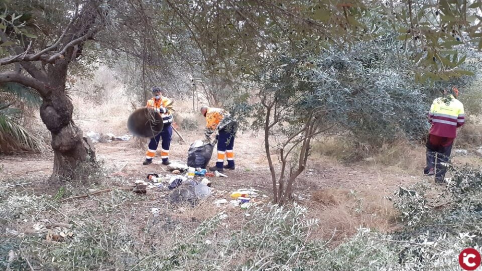 Alicante pone en valor sus zonas forestales para disfrutar del medio ambiente con vistas a la ciudad y a la bahía