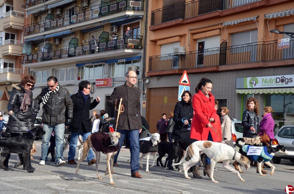 A los adoptantes de la Protectora de Villena