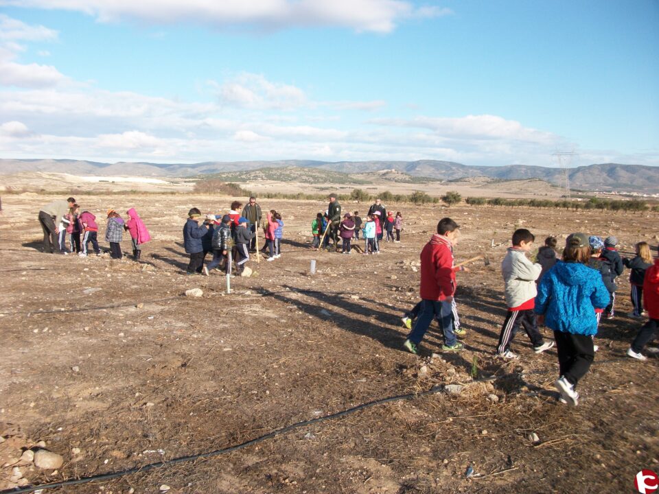 El C.P. Mare de Déu de Gràcia de Biar se compromete con el medioambiente