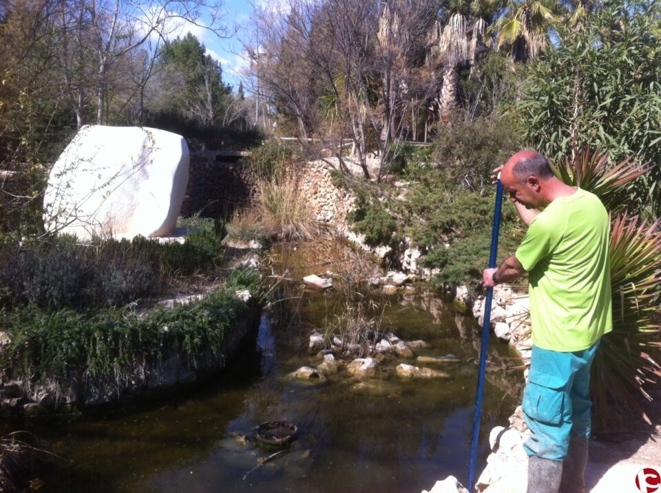 El área de Medio Ambiente ultima la campaña de poda de arbolado y acondiciona el parque del Oeste