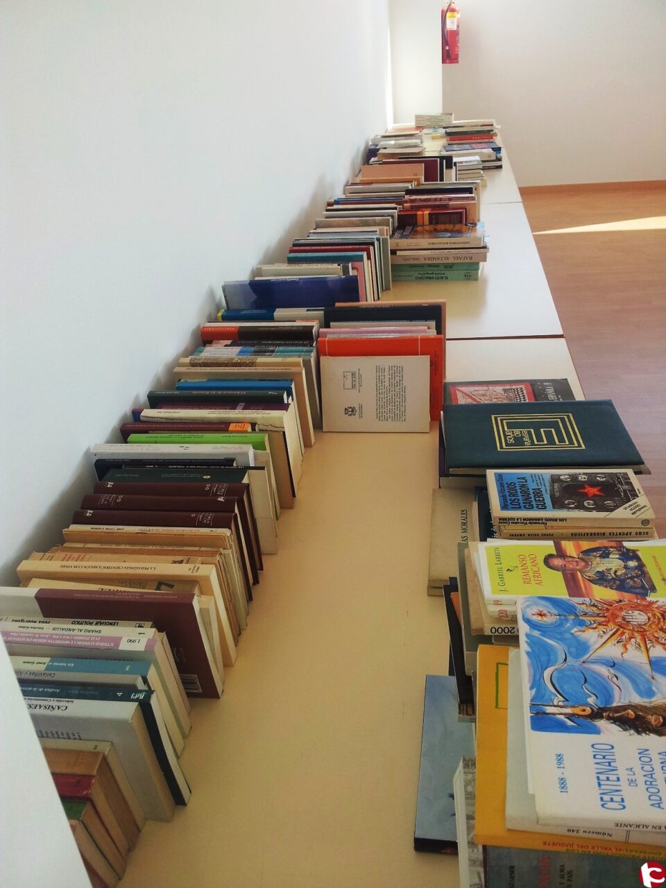 La Biblioteca recibe la mayor donación de libros