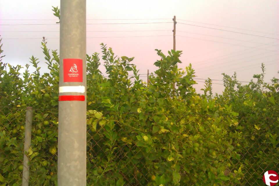 El Consorcio Camino del Cid refuerza la señalización senderista con 3.140 nuevas señales