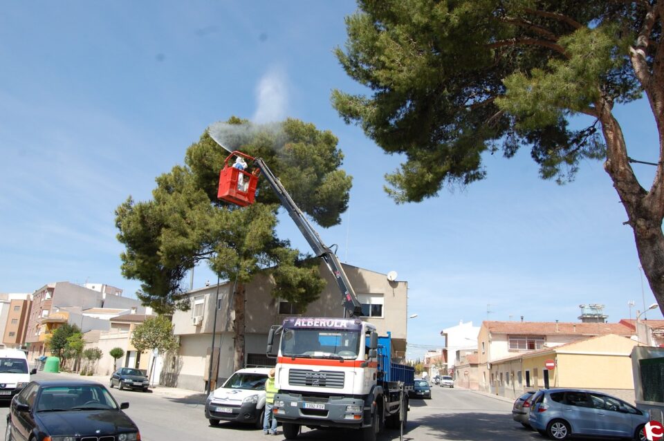 Fotonoticia tratamiento contra la Procesionaria en toda la población