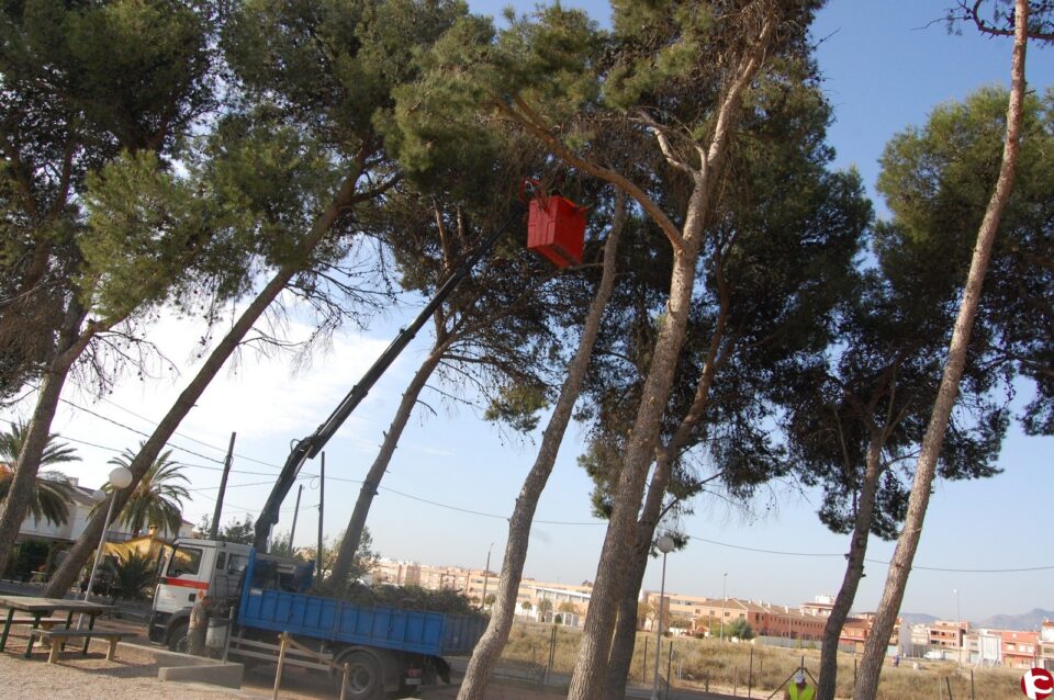 La brigada de jardinería del Ayuntamiento está realizando esta última semana una poda selectiva en la pinada del Polideportivo Municipal