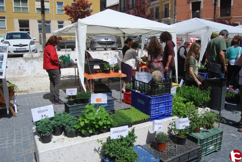 392 personas visitaron el Minado durante el Mercado de las Flores