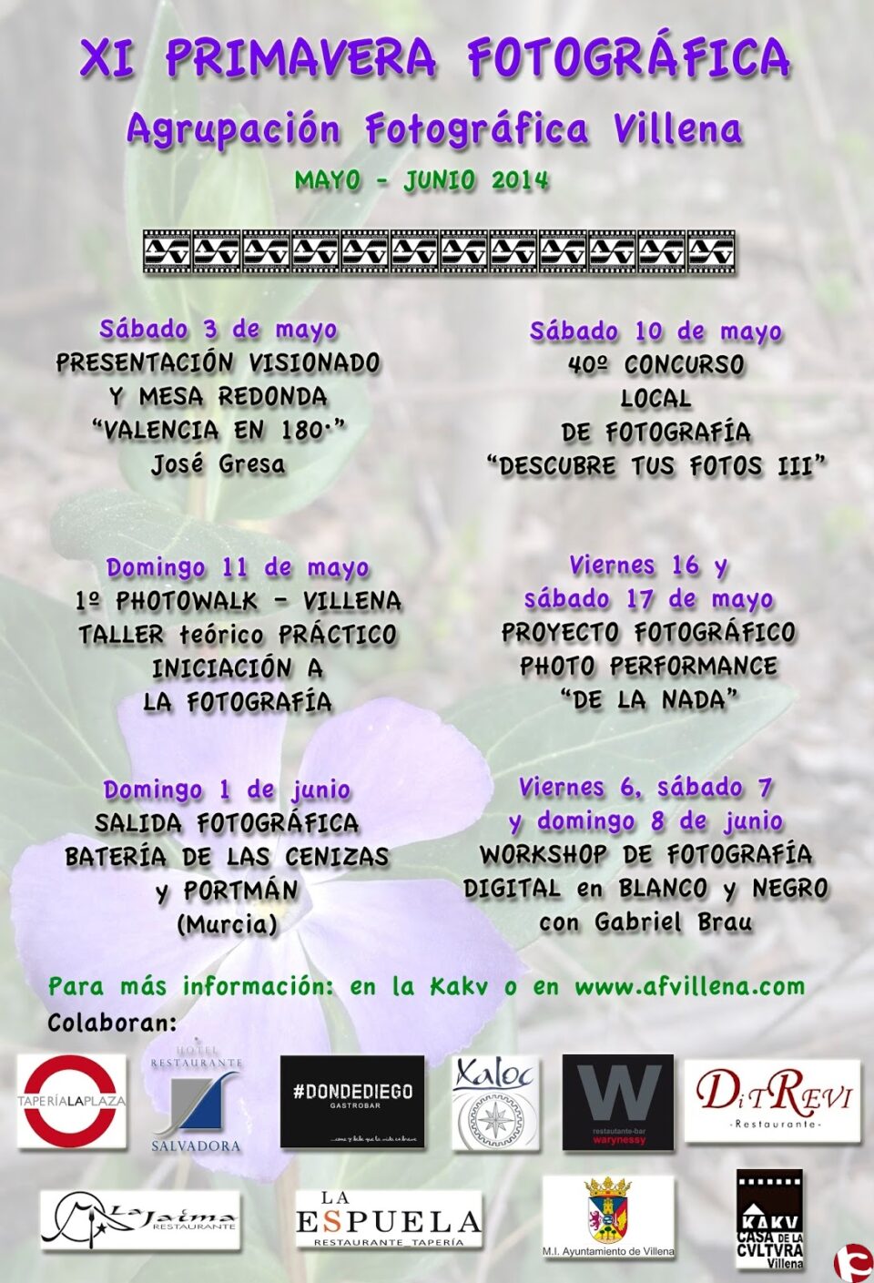 XI PRIMAVERA AGRUPACIÓN FOTOGRÁFICA VILLENA 2014