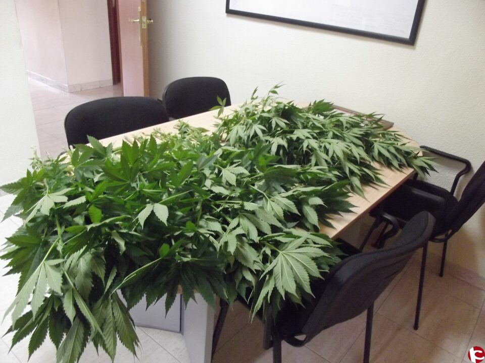 Presunta comisión de un delito de estafa