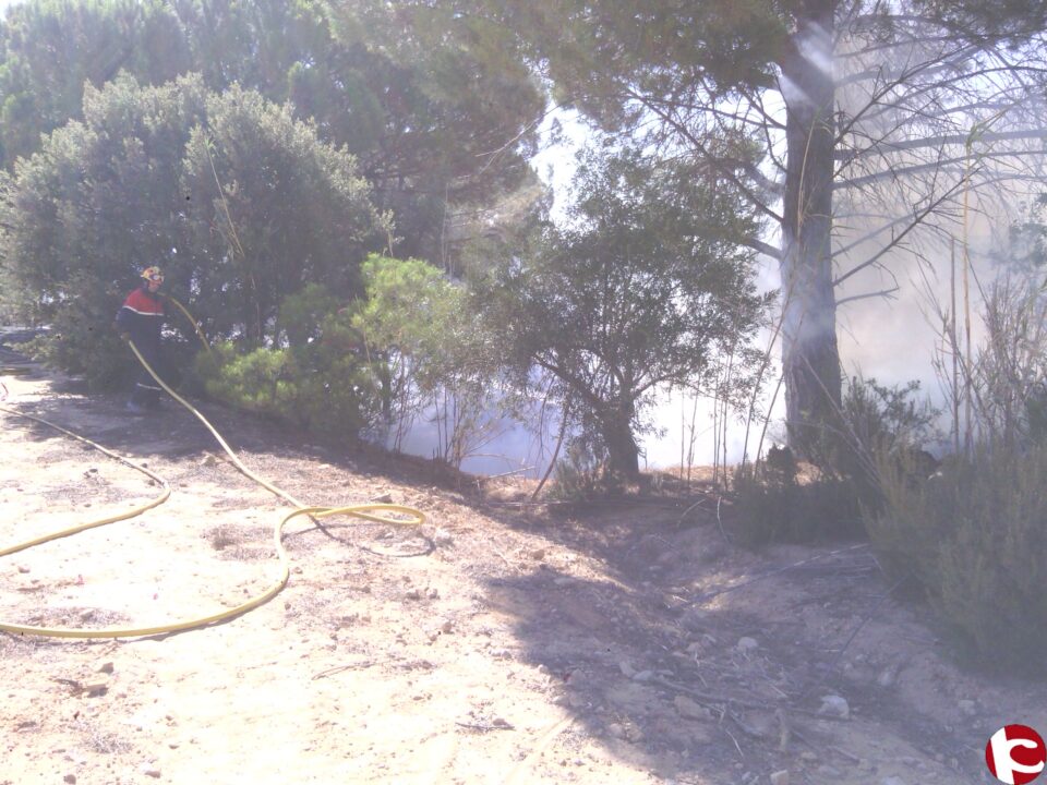 Conato de incendio forestal a la altura de la carretera que discurre entre Biar y Bañeres