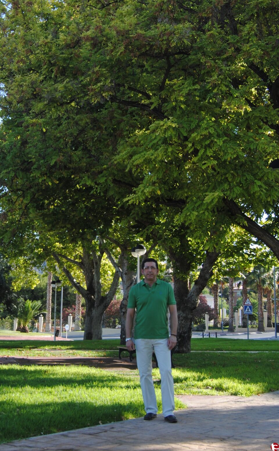 Nota de prensa del PSOE Petrer: Moción ordenanza árboles monumentales
