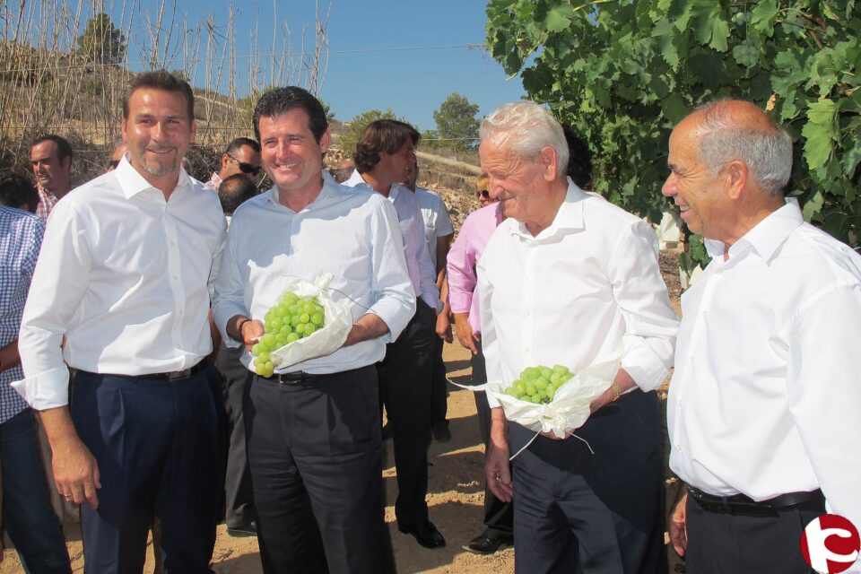 Fomento apoya la campaña 2014 de Uva de Mesa Embolsada donde destaca investigación y promoción