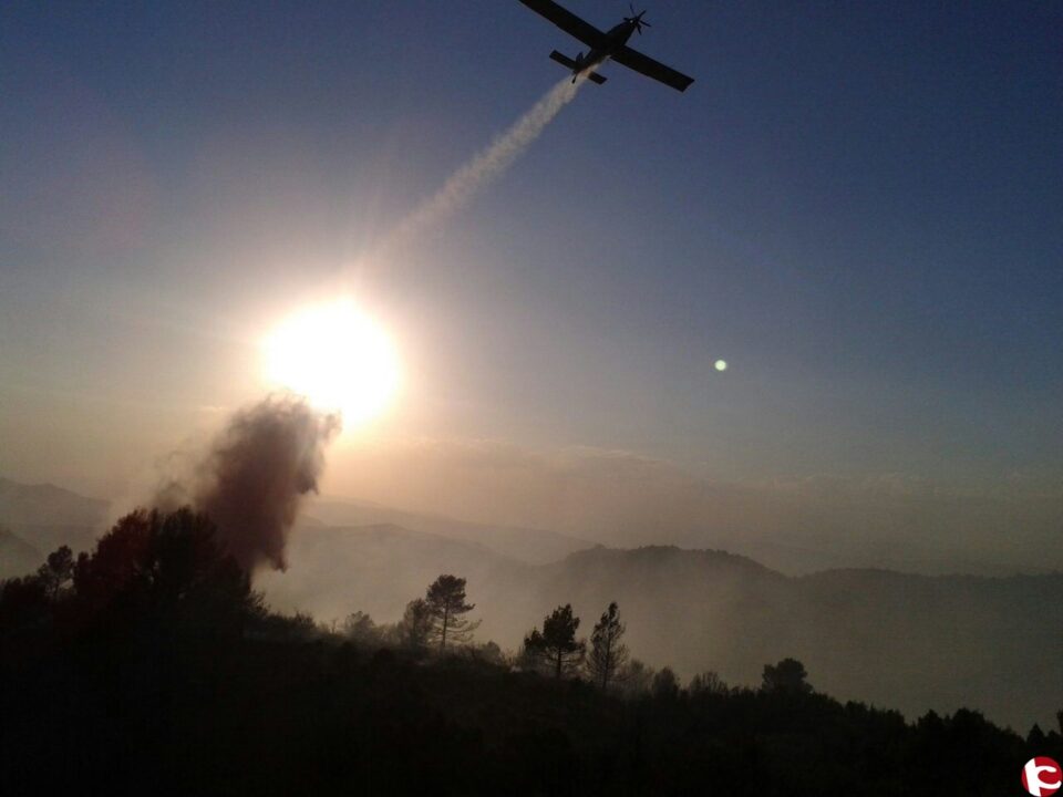 Un total de 16 servicios de diversa índole son los que han efectuado los efectivos del parque de bomberos de Villena en el periodo del 5 al 10 de septiembre.